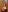 mom4you Erotic set 2025 Photo 9