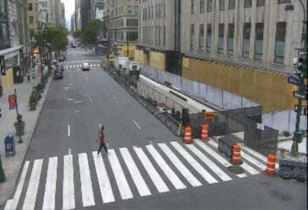 BusterNut NYC 6-4-20 Pic