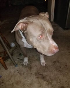 ForwardStar505 Public Pic 6