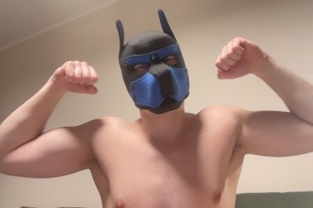 lilipupas Public Poză