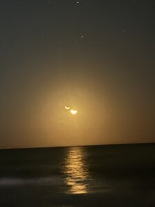 gabbiefoxthx 🌊 🪸⚓️  4টি ছবি