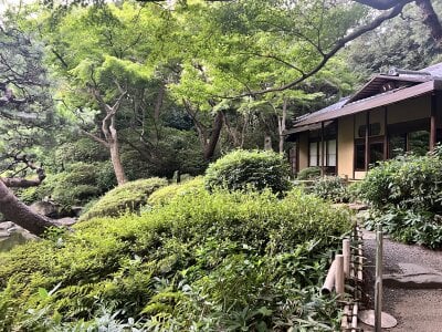 Fukumiyuuu Public Pic 4