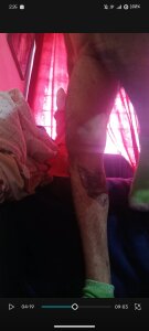 thekinglizard Public Pic 3