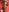 IlariaKentのSexy22の枚の写真