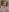 bambi_lu topless baby boobies (no clouds)😮‍💨 Pic 2