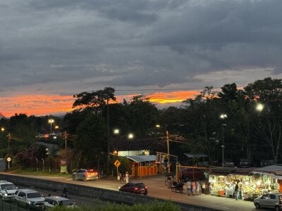 Ahri_Elderwood 🇨🇴Parque del café ☕️✨ Εικόνα 3