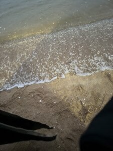 winter11 危险直播 Pic