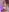 ScarletColes Have you saw a naked..."bunny" before? 🥵 Pic 5
