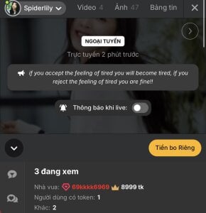 SpiderIily Beacon 사진 2