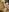 867_haruna ラーメンログ🍜 Pic 9