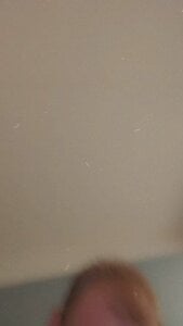 BrutalDominationandBeyond private 사진 2