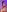 rosalie_lust mi pequeña florecita 사진