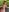 SabrinaSutton Soaked in Desire Foto  4