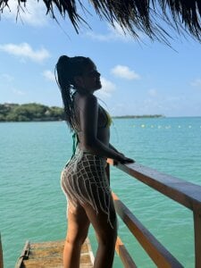 Lisa_plmPublic图片 2