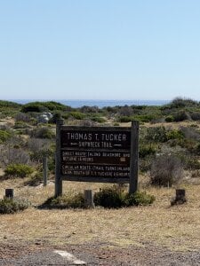 Wild Africa de solar_bella Foto 7