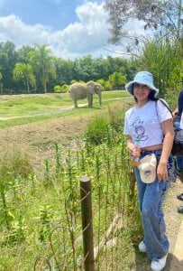 Amy_housee field day 🍃⭐ Billede 2