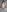jasmine_campbell_ I'm naked just for you Pic