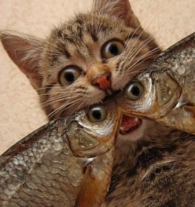 LindaThompson Public Pic 2