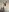 HoneyAndBee2 Foxy hot album for my best fans :3 Pic 5