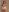 LeonaEviann New sexy Pics Pic 7
