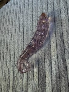 Girls_Fingers Our sexy toys 😎 Foto 9