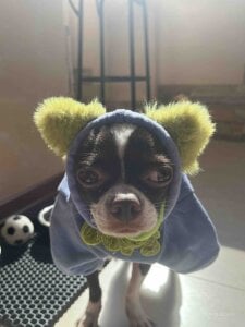 HaleySun Charlie Pic 4