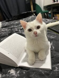 soft_focus Public Fotka 2