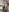 Constancia_pureOh, spinning照片 5