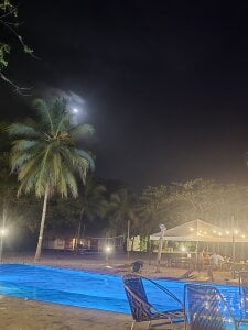 Sairy_ kullanıcısının On the Beach 🌴🌊 albümü -  5 fotoğraf