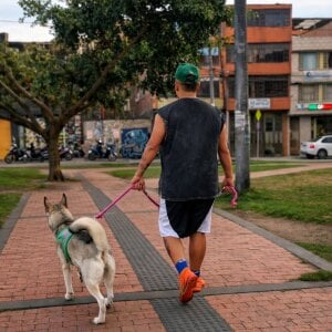 ney_22 dia dia صورة واحدة|ney_22 dia dia صورتان|ney_22 dia dia  3 صور|ney_22 dia dia  3 صورة