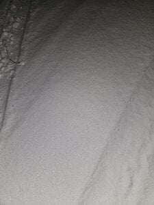 Gris-shadow Kuckt slika 4