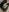CurvyJasminexx Fan Priveladge photos Pic 8