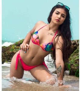 jasmin_model