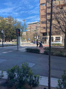 Zoe_King44 Walks 💦🌲 Kuva 9