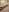 aydan_hw bondage Pic 9