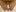horny_baaby gsgh Foto  9