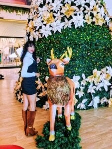 🌲 de Kathleen_Rodriguez  Imagens