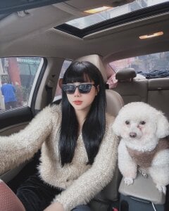 July-Asian 我爱你们 Bilde