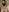 Wakayama_Akae My sexy body Pic