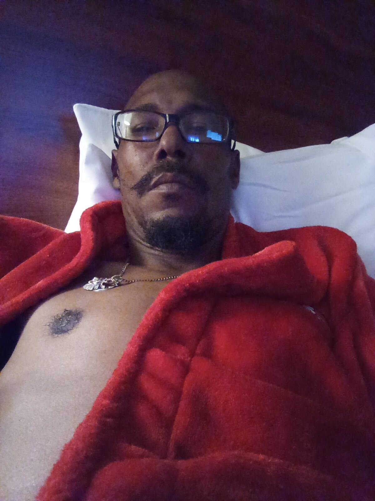 palmdaledyker Populära bilder 3520