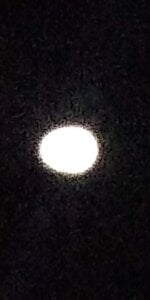 orgullomoreno GFVAXN5 Pic 4