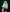 a_pinch_of_cyanide Slytherin Nudes Pic 4