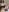 Mari_valda2MARI照片 7