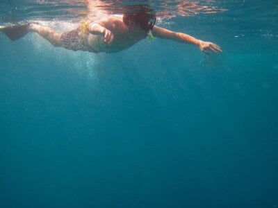 verssluthnh Public зображення 3