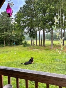 Choochoochim Public slika 3