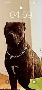 chriswhittheD Public зображення 4