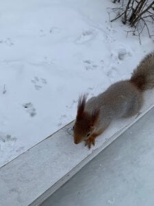 LaveraMeling A place to relax Immagine 