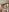 Alyshanon18 Naked Pic 5