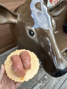 OSUSHI-CHAN ごはん最高 صورة واحدة|OSUSHI-CHAN ごはん最高 صورتان|OSUSHI-CHAN ごはん最高  صور|OSUSHI-CHAN ごはん最高  صورة