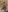 Nia_Blondie_X izgat a piros? 사진 7